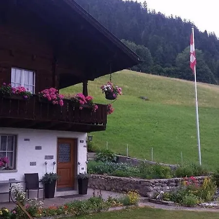 Duplex Flat - Amazing With Pond グスタード