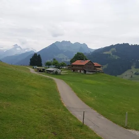 Duplex Flat - Amazing With Pond