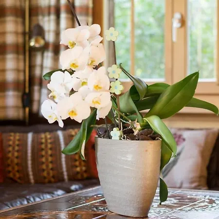 بيت للعطل Duplex Flat - Amazing With Pond غشتاد