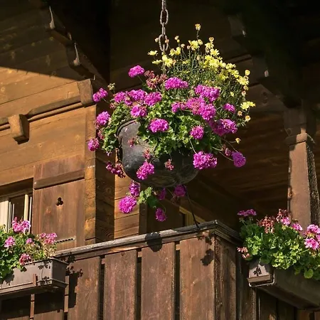 Duplex Flat - Amazing With Pond 別荘 *