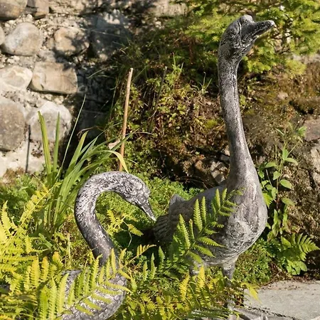 Duplex Flat - Amazing With Pond