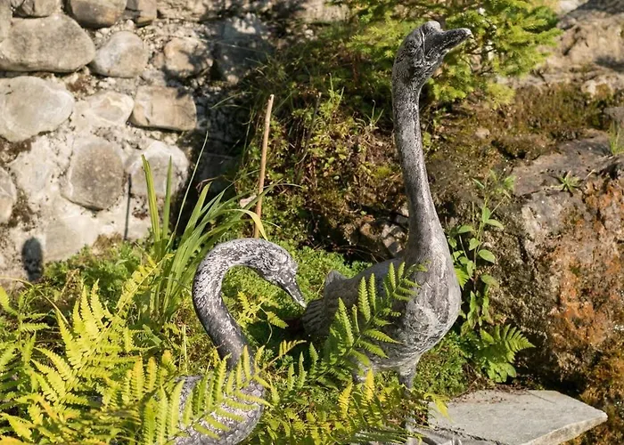 Duplex Flat - Amazing With Pond