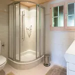 Duplex Flat - Amazing With Pond Holiday home Gstaad