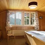 Duplex Flat - Amazing With Pond Holiday home Gstaad